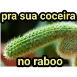 Figurinha de Memes Brasileiros para WhatsApp