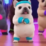 Figurinha de Animais para WhatsApp