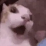 Sticker para WhatsApp