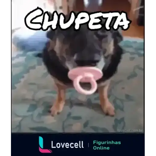 Coletadas sticker 32343