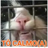 Figurinha de Animais para WhatsApp