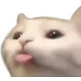 Figurinha de Gatos para WhatsApp