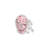 Figurinha de Memes para WhatsApp