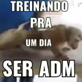 Sticker de Memes Brasileiros para WhatsApp