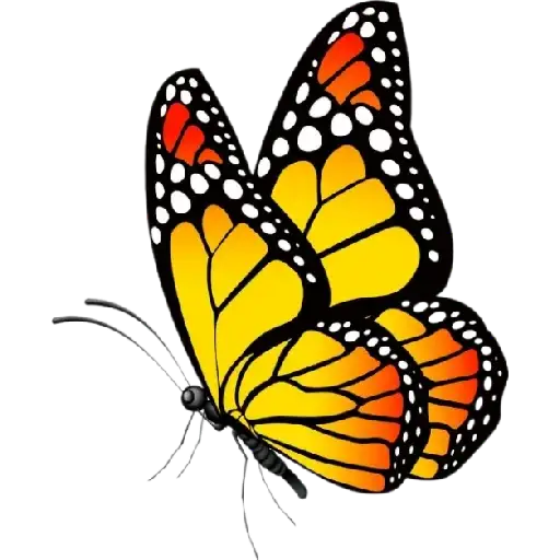 Coletadas sticker 19276