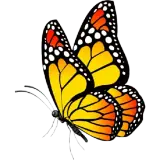 Animais WhatsApp sticker