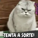 Figurinha de Gatos para WhatsApp