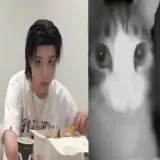 Figurinha para WhatsApp