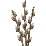 Figurinha de Feriados para WhatsApp