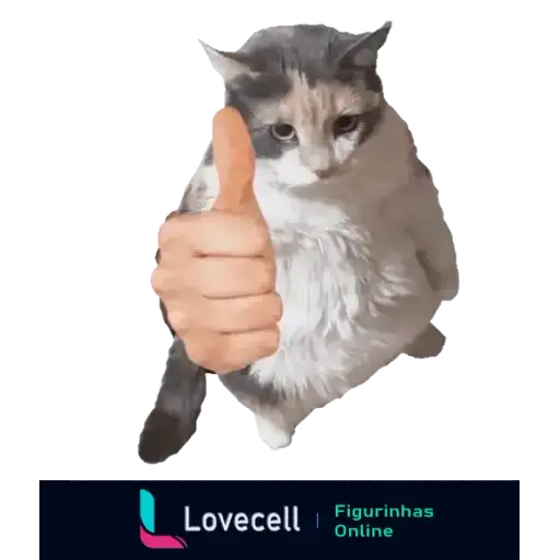 Coletadas sticker 32866