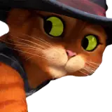 Figurinha de Gatos para WhatsApp