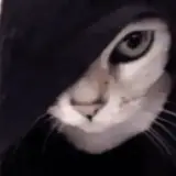 Sticker de Gatos para WhatsApp