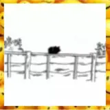 Sticker de Animais para WhatsApp