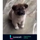 Figurinha para WhatsApp
