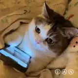 Figurinha para WhatsApp