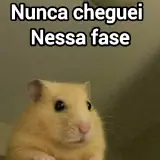 Sticker de Memes Brasileiros para WhatsApp