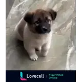 Figurinha para WhatsApp