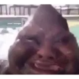 Figurinha para WhatsApp