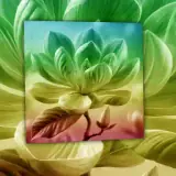 Figurinha para WhatsApp