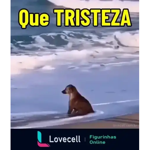 Coletadas sticker 32703