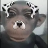 Figurinha para WhatsApp