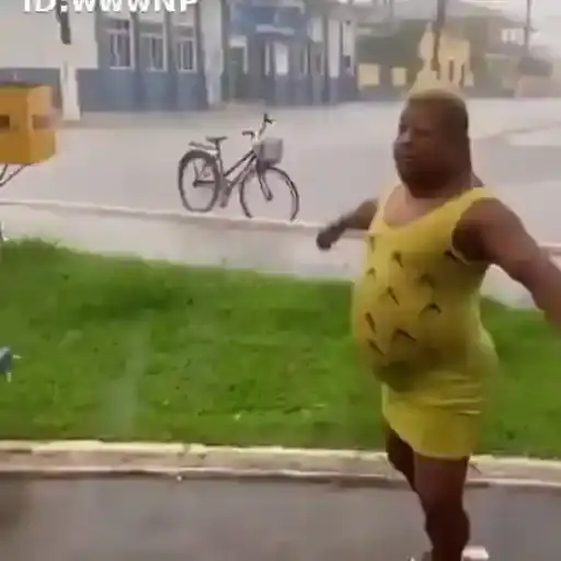 Coletadas sticker 669