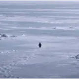 Sticker para WhatsApp