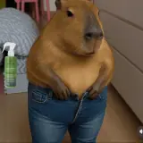 Animais WhatsApp sticker