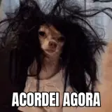 Figurinha de Memes Brasileiros para WhatsApp