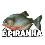 Figurinha de Animais para WhatsApp