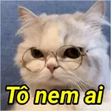 Figurinha de Memes Brasileiros para WhatsApp