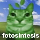 Figurinha para WhatsApp