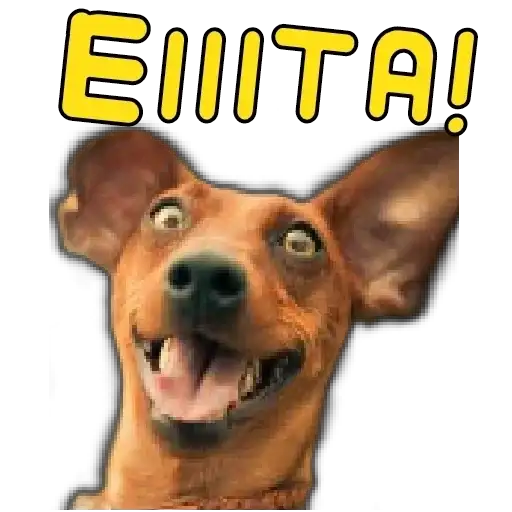 Coletadas sticker 24837
