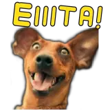 Figurinha de Cachorros para WhatsApp