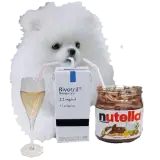 Figurinha de Animais para WhatsApp