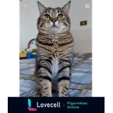 Figurinha para WhatsApp