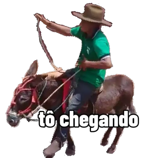 Coletadas sticker 24429