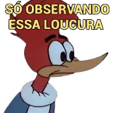 Sticker de Pica-Pau para WhatsApp