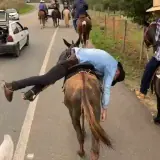 Figurinha de Engraçados para WhatsApp