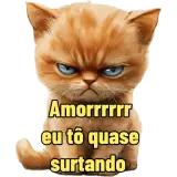 Figurinha de Gatos para WhatsApp