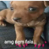 Cachorros WhatsApp sticker