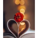 Figurinha de Amor para WhatsApp