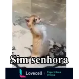 Figurinha para WhatsApp