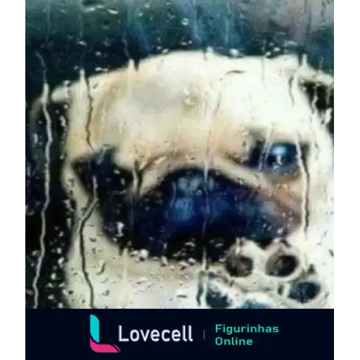 Coletadas sticker 32674