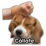 Figurinha de Animais para WhatsApp