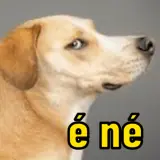 Figurinha de Memes Brasileiros para WhatsApp