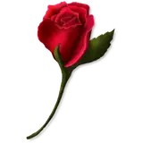 Figurinha de Amor para WhatsApp