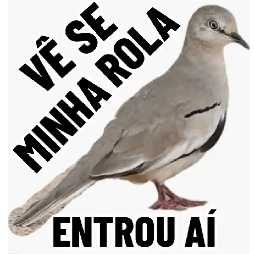 Coletadas sticker 36654