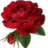 Figurinha de Amor para WhatsApp