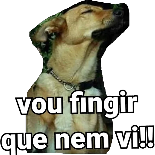 Figurinha para WhatsApp — Memes Brasileiros